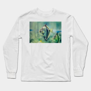 African moony swimming in glass fish tank Long Sleeve T-Shirt